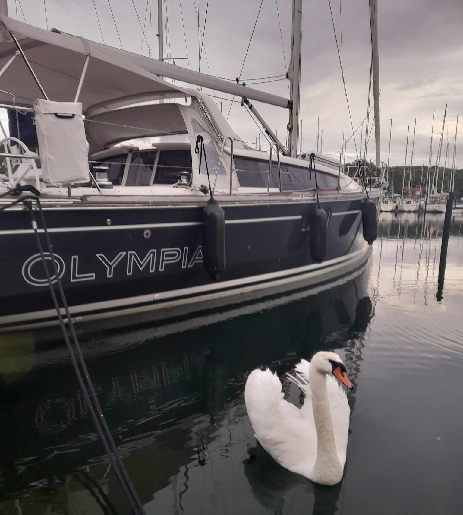 olympia2.jpg